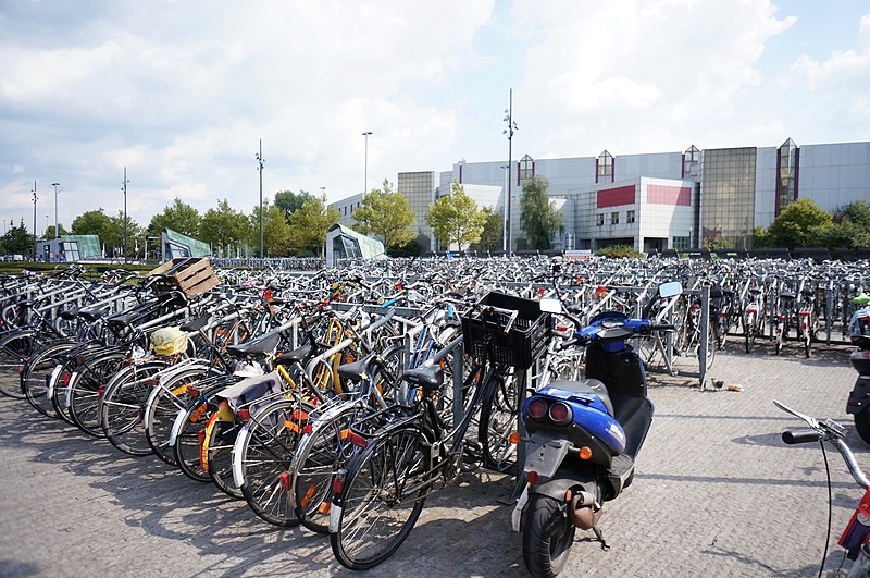 Более 30 процентов бельгийцев используют велосипед для того, чтобы добираться на работу 